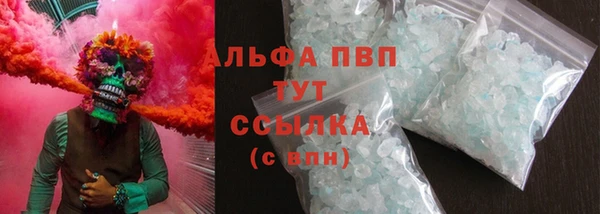 сатива Баксан