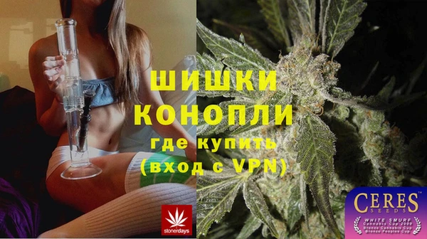 сатива Баксан