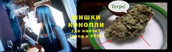 сатива Баксан