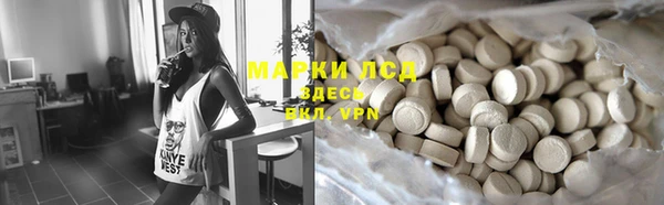 сатива Баксан