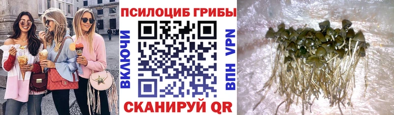 Галлюциногенные грибы MAGIC MUSHROOMS  Кущёвская 